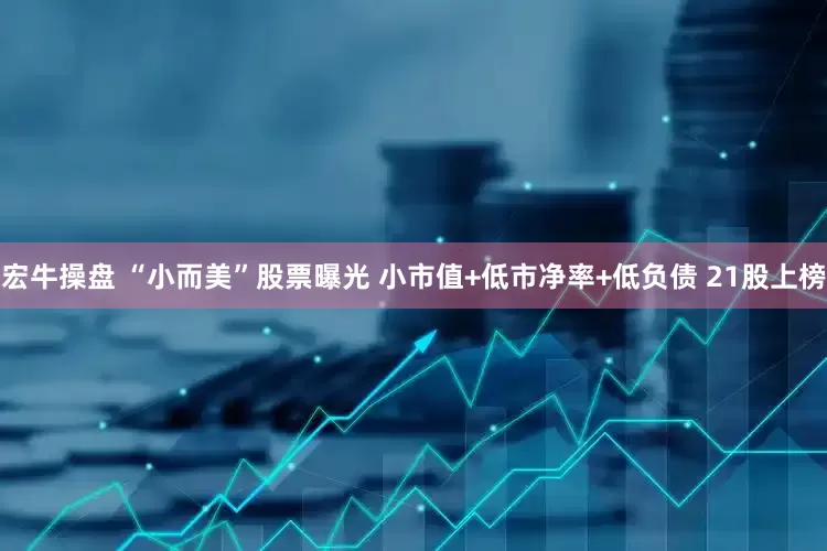 宏牛操盘 “小而美”股票曝光 小市值+低市净率+低负债 21股上榜