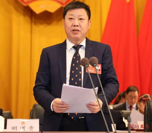 实倍网 10天，重庆官宣6厅官落马