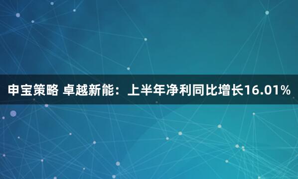 申宝策略 卓越新能：上半年净利同比增长16.01%